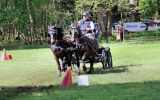 Concours-attelage-202424